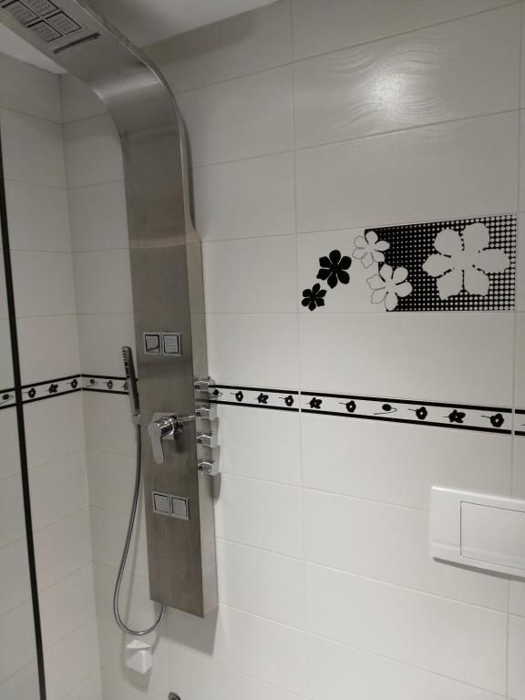 Отель Hotel and Restaurant Abas Плав