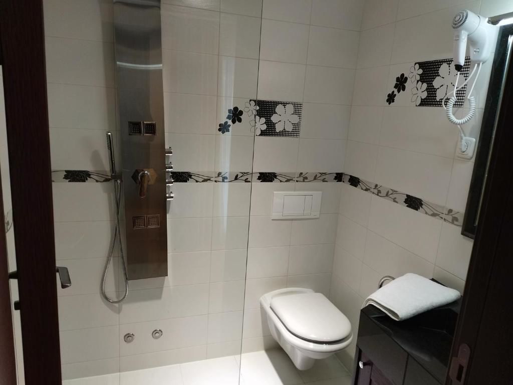 Отель Hotel and Restaurant Abas Плав-56