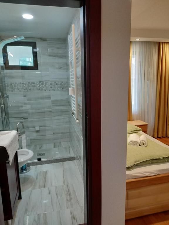 Отель Hotel and Restaurant Abas Плав