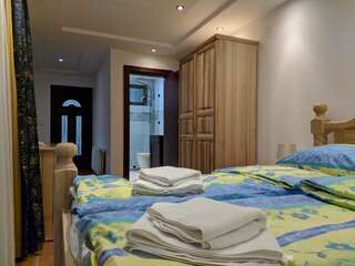 Отель Hotel and Restaurant Abas Плав Бюджетный двухместный номер с 1 кроватью-4