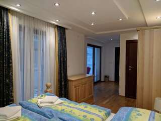 Отель Hotel and Restaurant Abas Плав Бюджетный двухместный номер с 1 кроватью-6