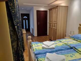 Отель Hotel and Restaurant Abas Плав Бюджетный двухместный номер с 1 кроватью-8