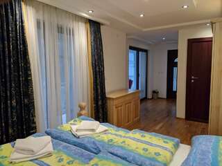 Отель Hotel and Restaurant Abas Плав Бюджетный двухместный номер с 1 кроватью-9