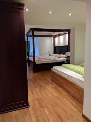 Отель Hotel and Restaurant Abas Плав Семейный номер с видом на озеро-8