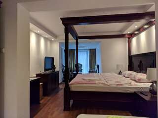 Отель Hotel and Restaurant Abas Плав Семейный номер с видом на озеро-9