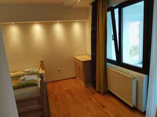 Отель Hotel and Restaurant Abas Плав Бюджетный двухместный номер с 1 кроватью-2