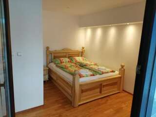 Отель Hotel and Restaurant Abas Плав Бюджетный двухместный номер с 1 кроватью-4