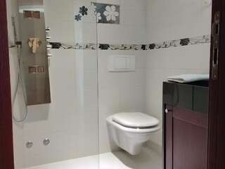 Отель Hotel and Restaurant Abas Плав Бюджетный двухместный номер с 1 кроватью-6