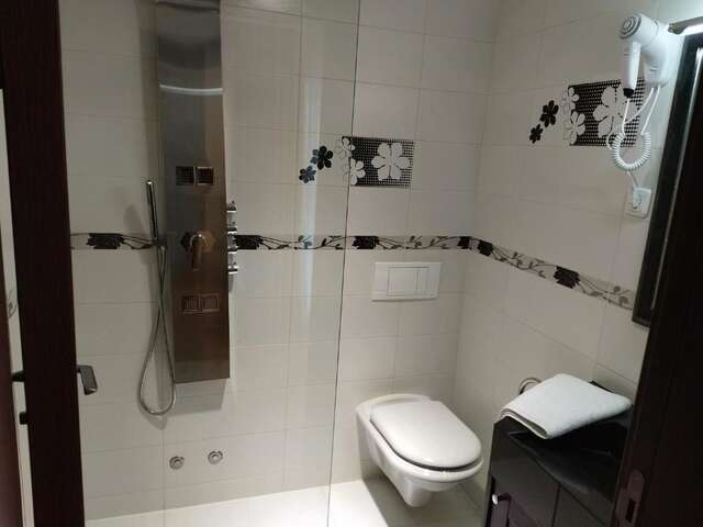 Отель Hotel and Restaurant Abas Плав-55